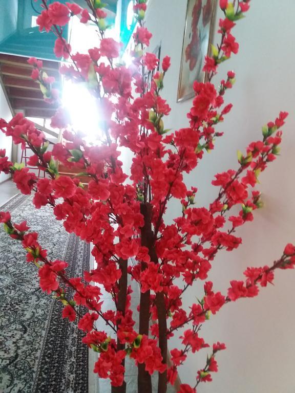 بيت ضيوف Arbat شولبون آتا المظهر الخارجي الصورة