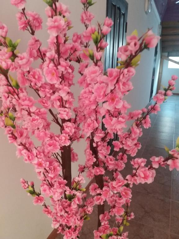 بيت ضيوف Arbat شولبون آتا المظهر الخارجي الصورة